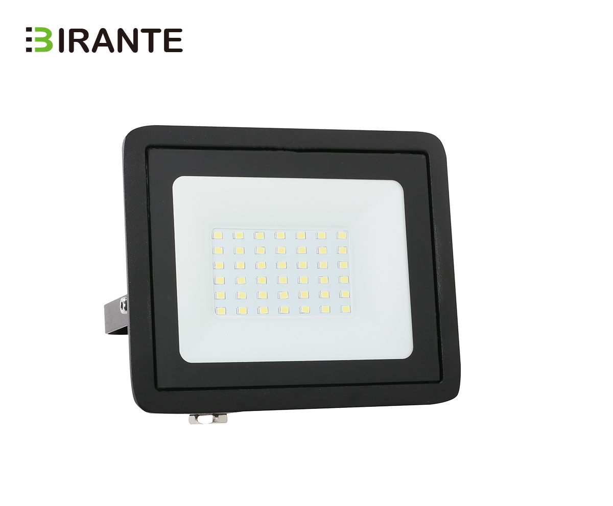 DC/AC 12V-24V LED FloodLight IP65